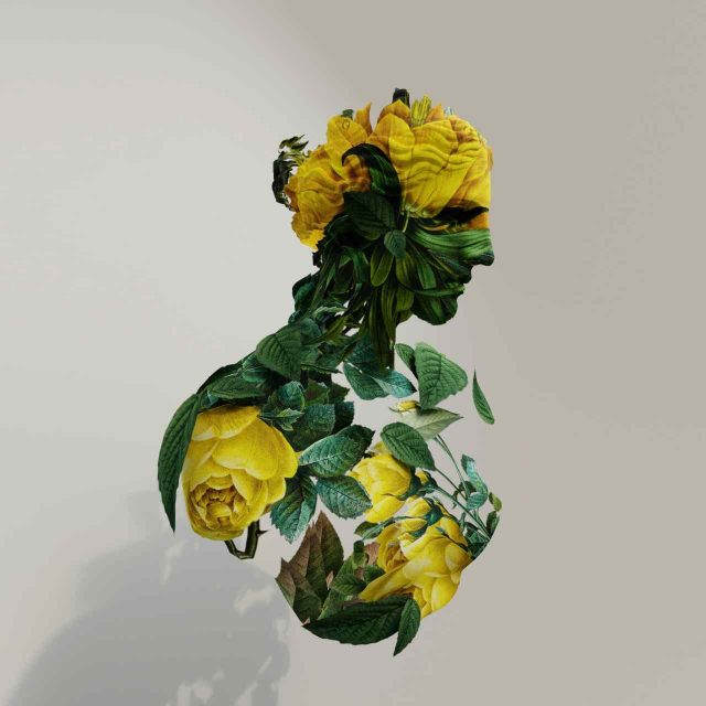 portfolio_04